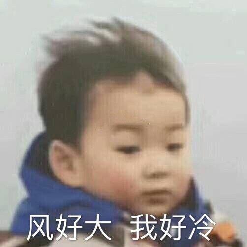 表情包美翻我了,捕捉网络潮流的视觉盛宴
