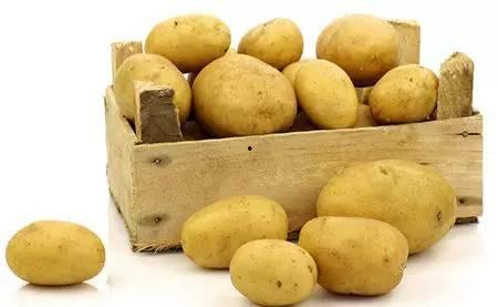 娱乐吃瓜酱土豆