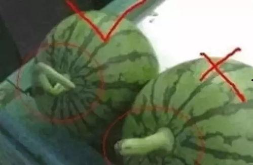 如何制作娱乐圈吃瓜素材