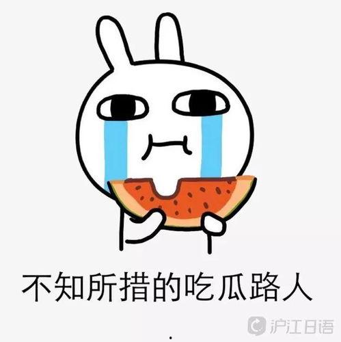 往年的娱乐圈吃瓜事件